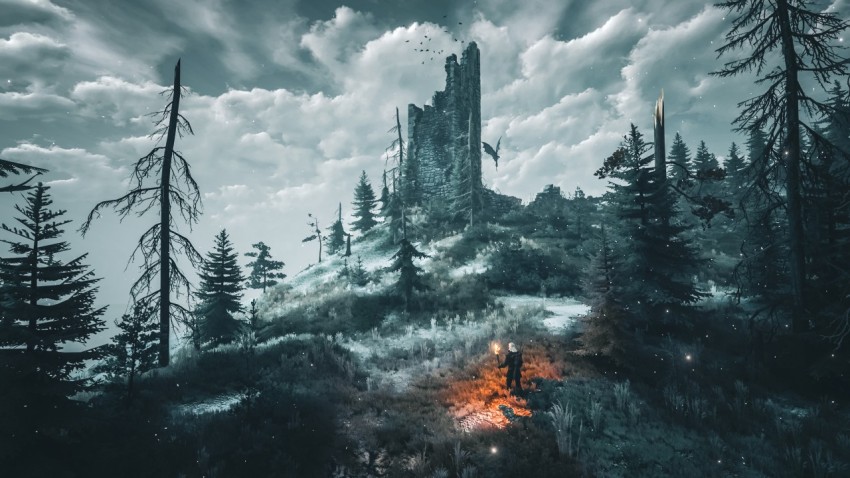 The Witcher 3: Wild Hunt Gaming Photography