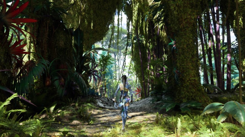 Avatar Frontiers of Pandora_4K HD Wallpaper_Gaming Photography_